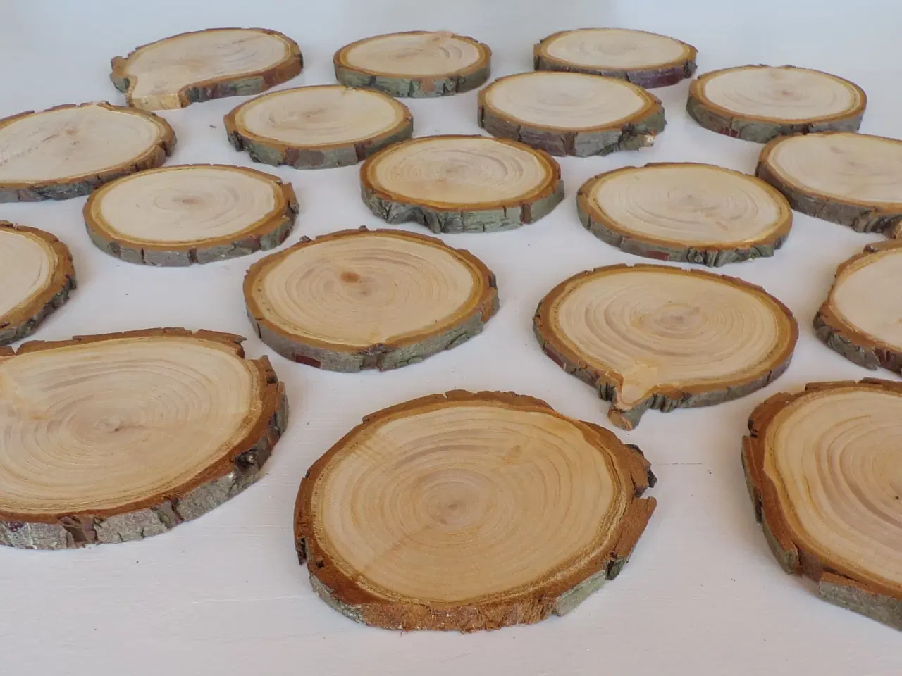 Billede 2 - NYE Træskiver Thuja 10 - 11,5 cm