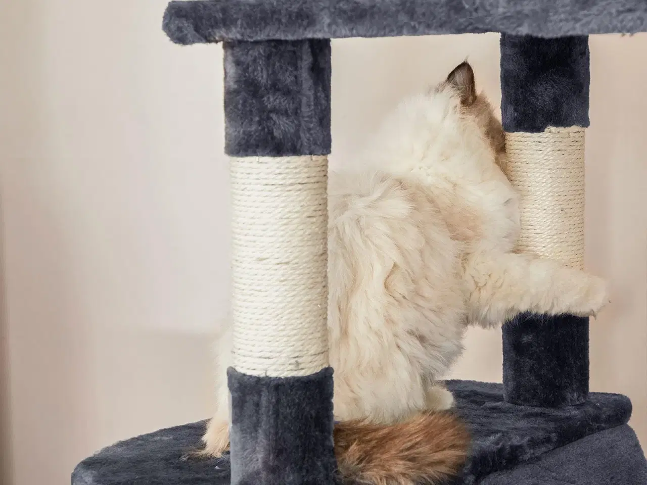 Billede 6 - Klatretræ til kat – FEANDREA 206 cm, stort kattetræ med 13 kradsepæle, rampe, 2 udsigtsplatforme, 2 huler, kurv og hængekøje – røggrå