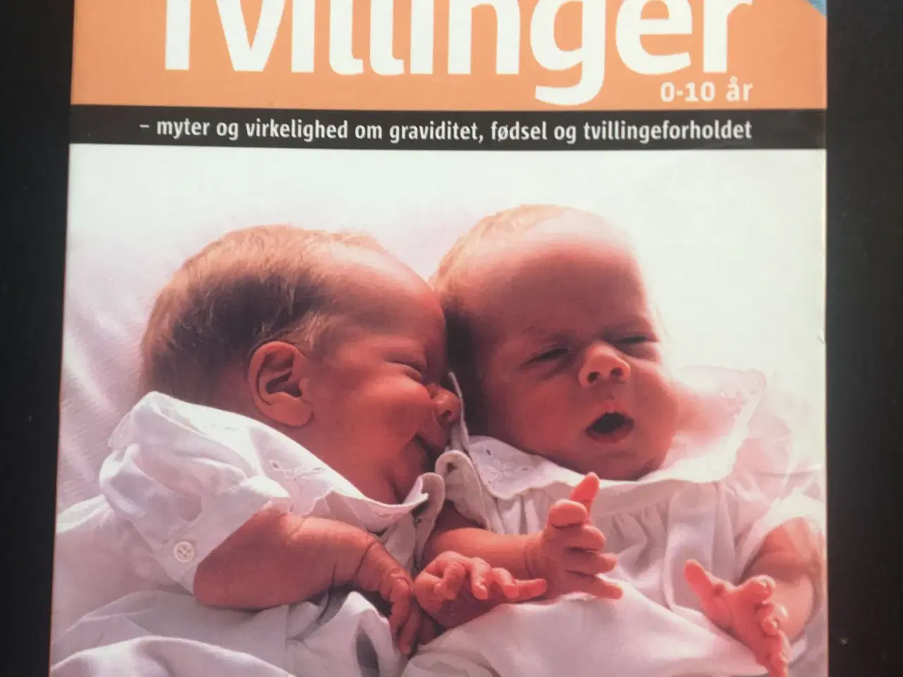 Billede 1 - Bogen om tvillinger