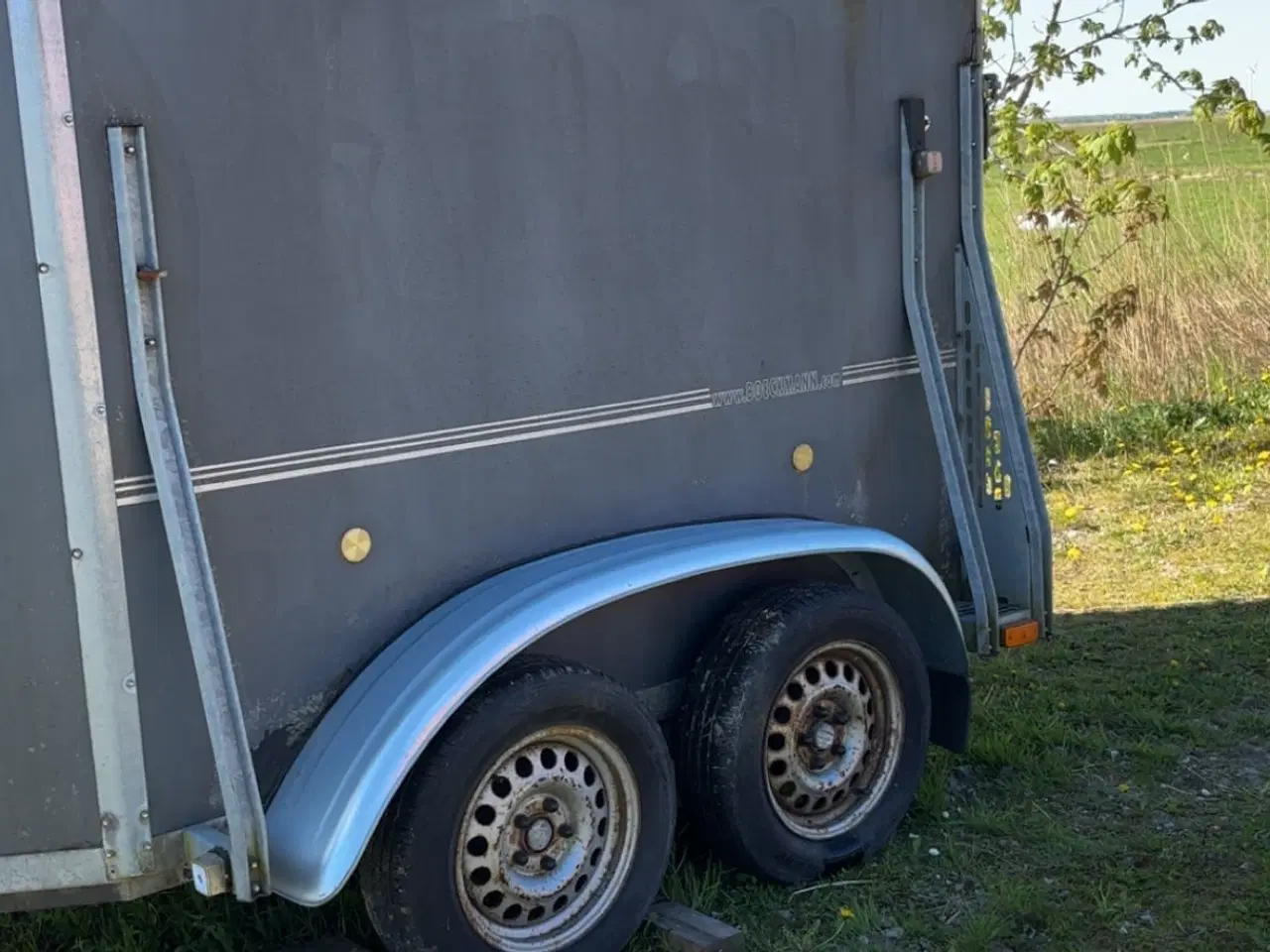 Billede 3 - Billig hestetrailer 