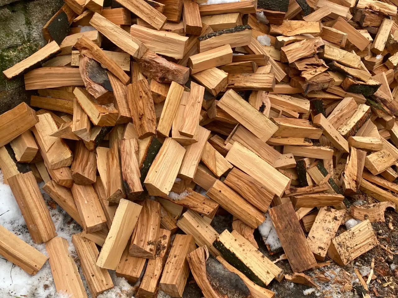 Billede 3 - Bøge brænde ny skovet 
