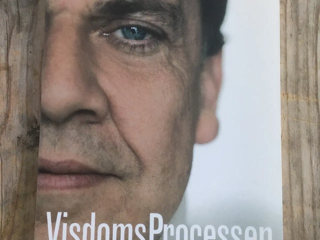 Billede 1 - Visdomsprocessen, Richard A. Bowell