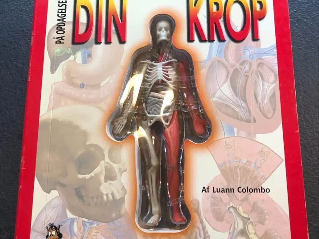 Billede 1 - Din krop