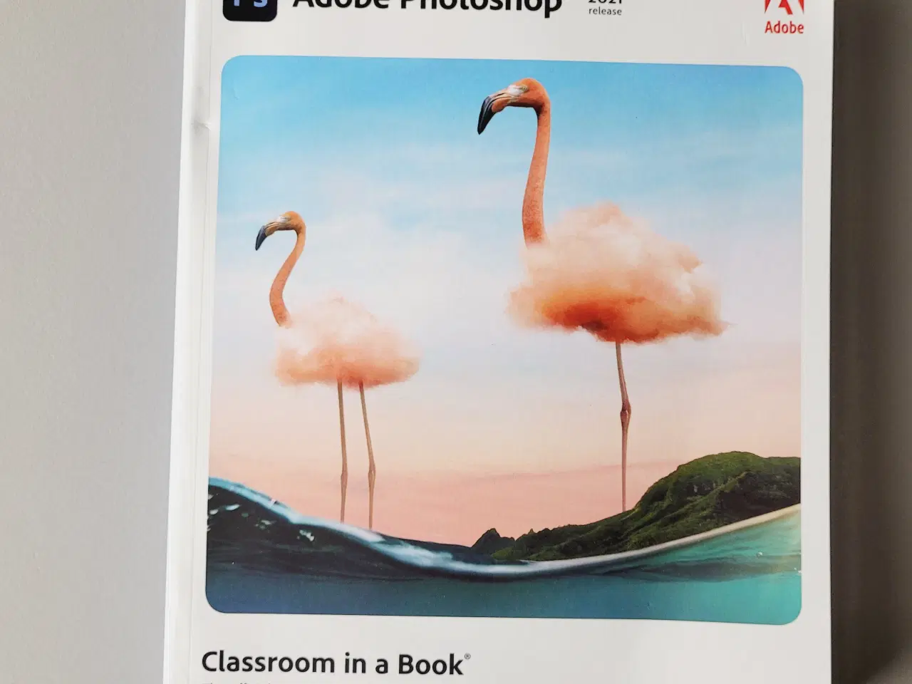 Billede 5 - ⭐️· Adobe Classroom Photoshop Illustrator InDesign