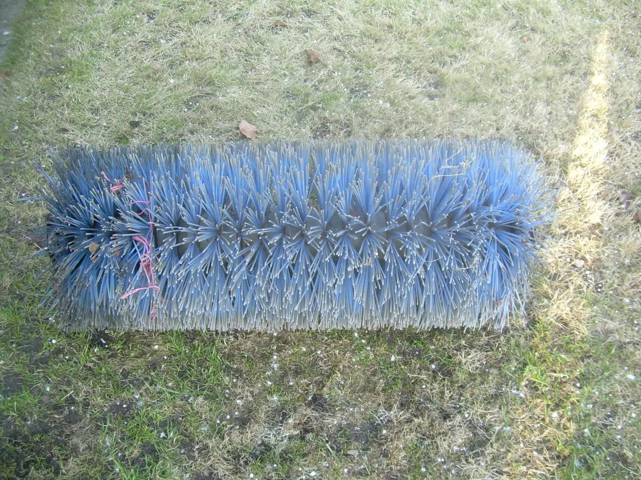 Billede 1 - KOST til Texas  