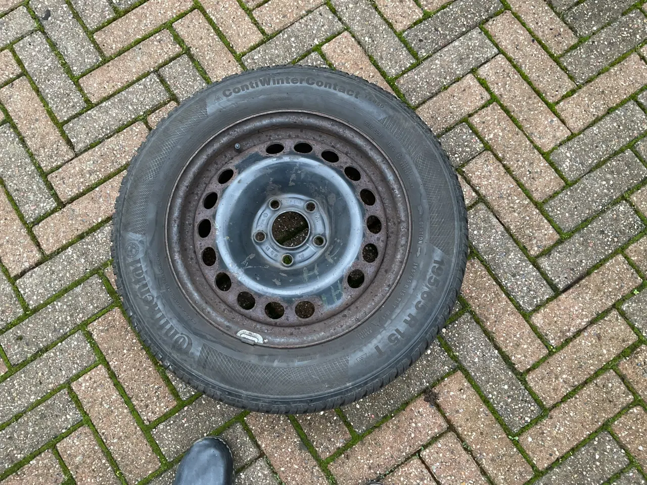 Billede 1 - Vinterhjul 195/65R15 ET 41. SAAB 9.3 