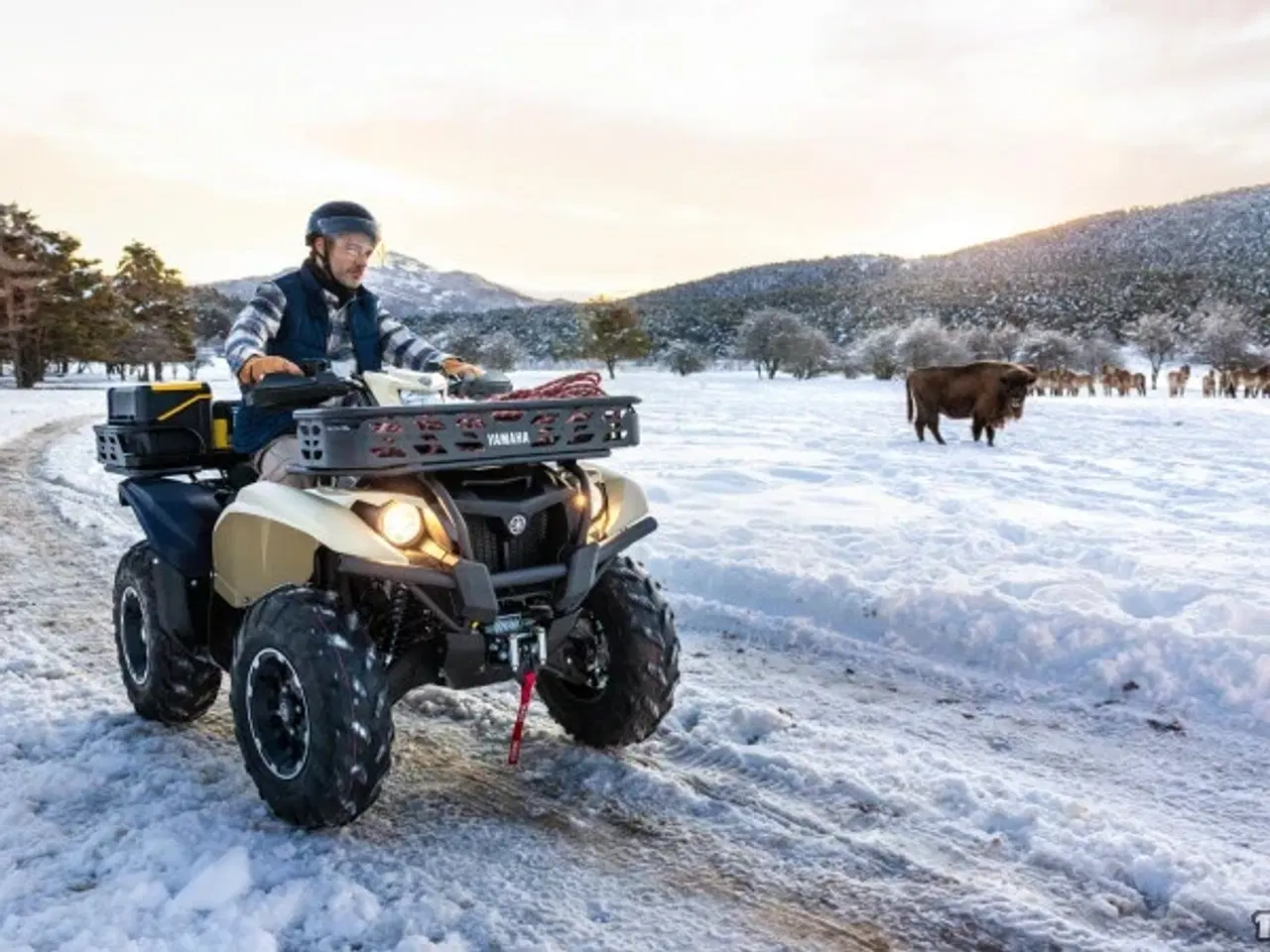 Billede 2 - Yamaha Kodiak 700 EPS Kiwami