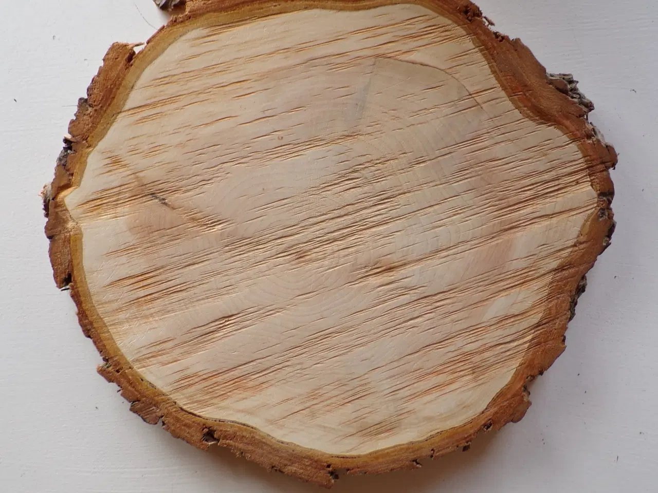 Billede 2 - NY Thuja Træskive med bark 30 cm lang