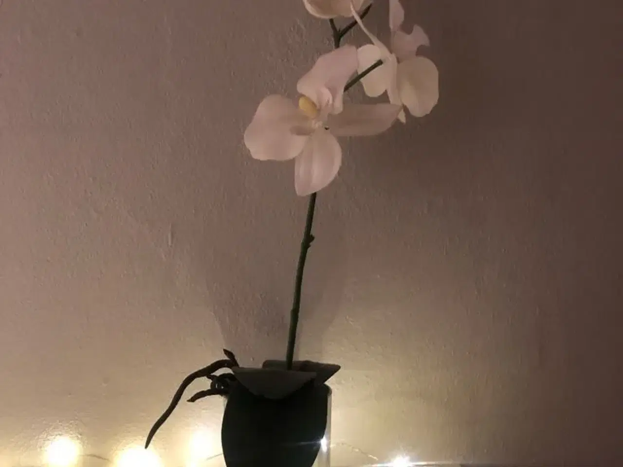 Billede 1 - Kunstig orkide i potte