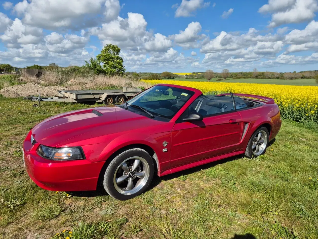 Billede 2 - Ford Mustang 4,6 Cobra SVT Cabriolet
