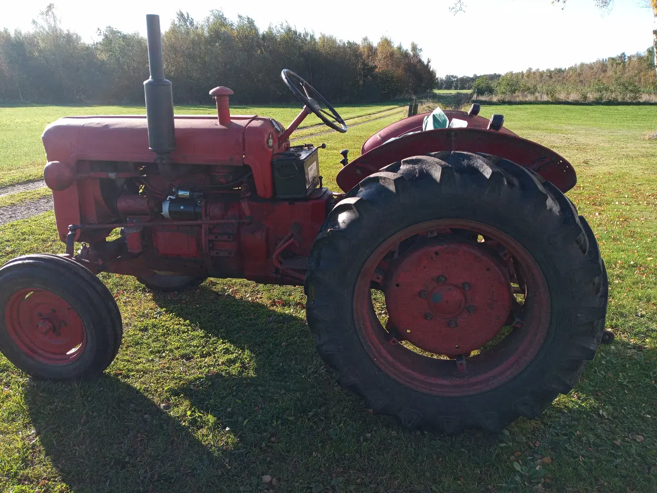 Billede 2 - Bukh 302 traktor