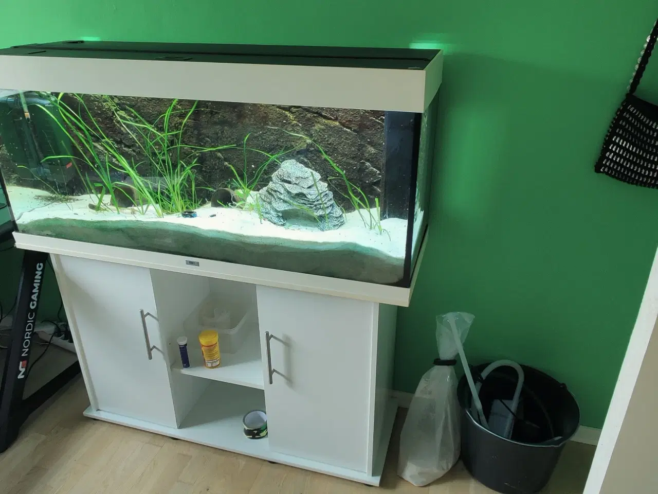 Billede 1 - Akvarie 240 liter inkl. møbel og 1 stk Axolotl