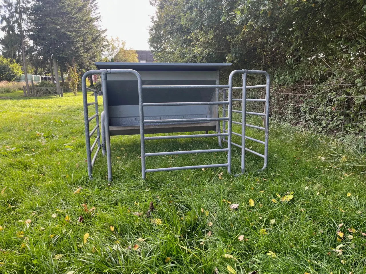 Billede 3 - Kalveskjul