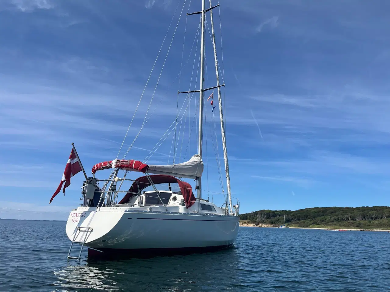 Billede 3 - Albin Scampi 30 skarp pris