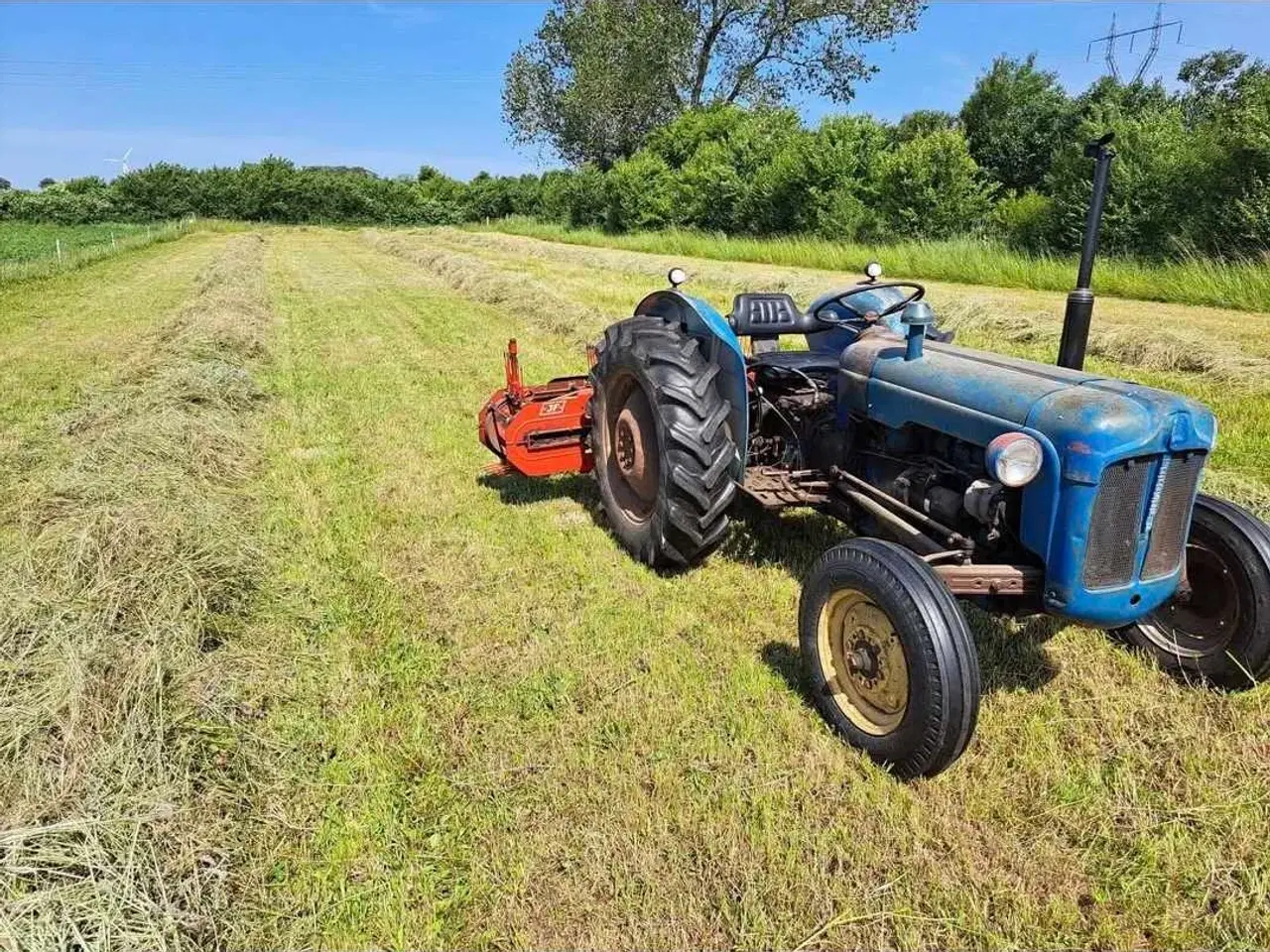 Billede 2 - Fordson Dexta