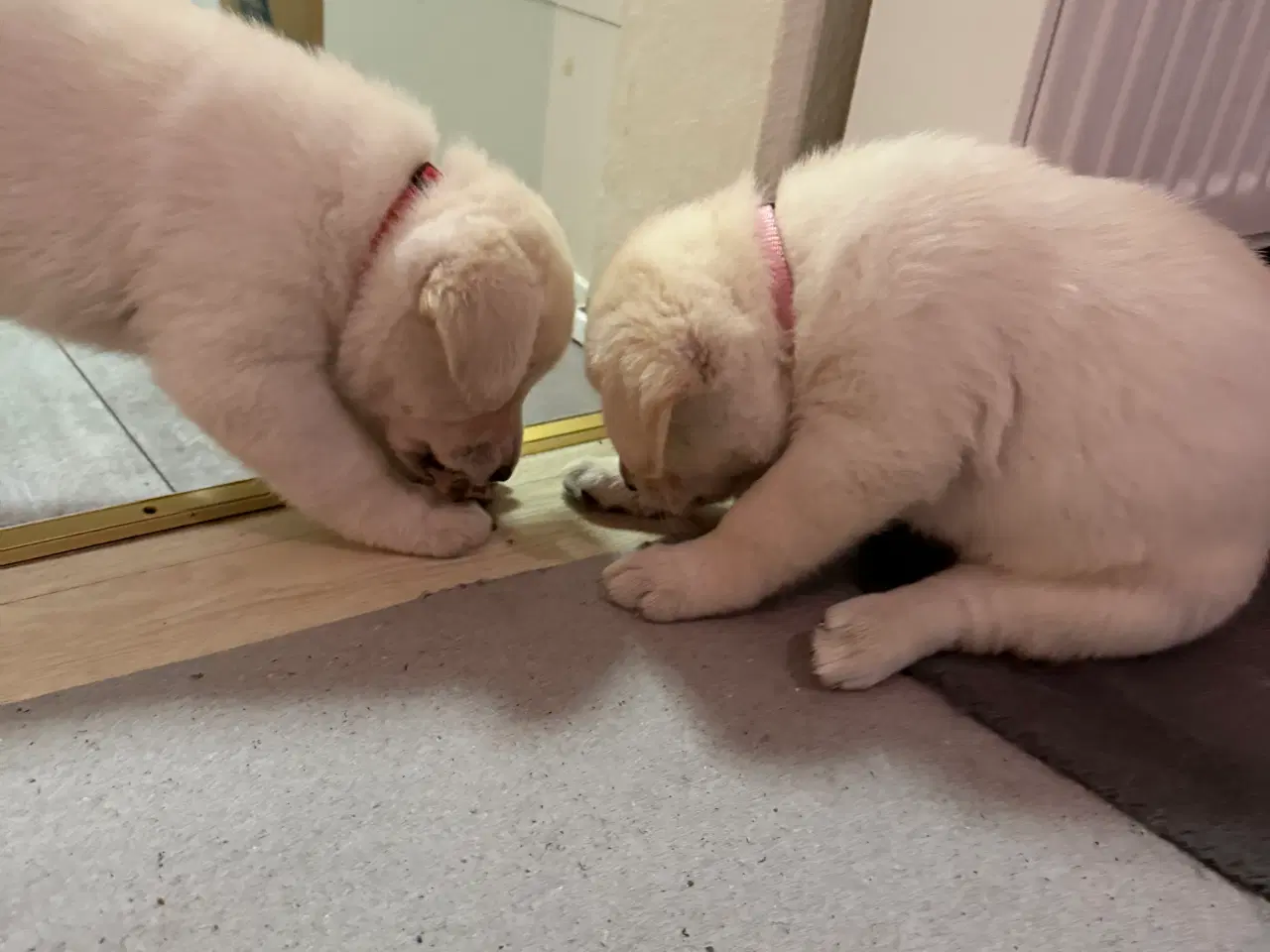 Billede 9 - Blød julegave så se her kan leveres