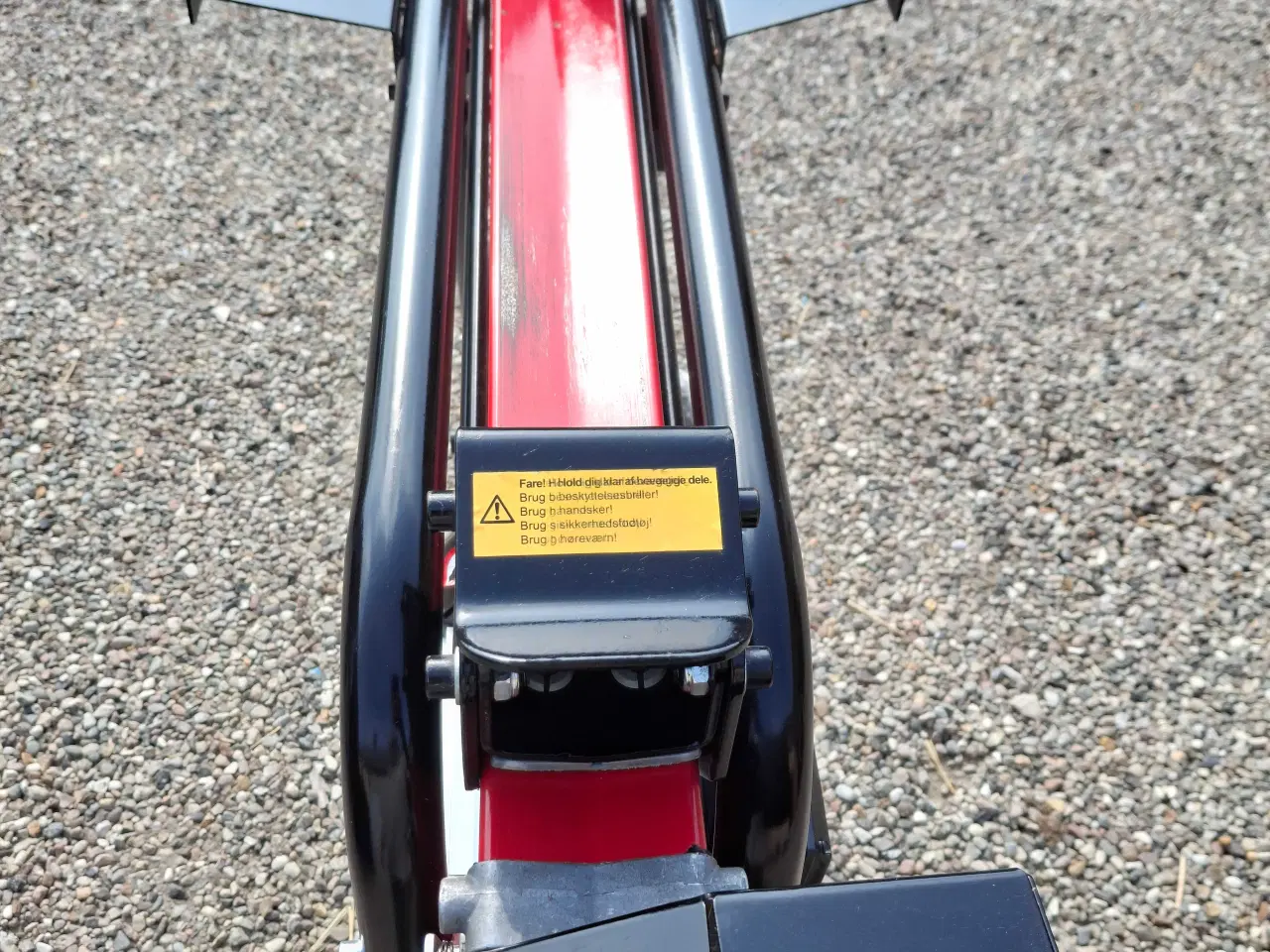 Billede 5 - Høj Brændekløver fra 2022