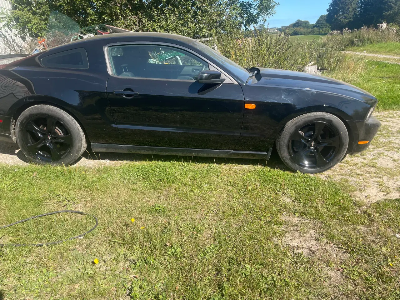 Billede 2 - Mustang