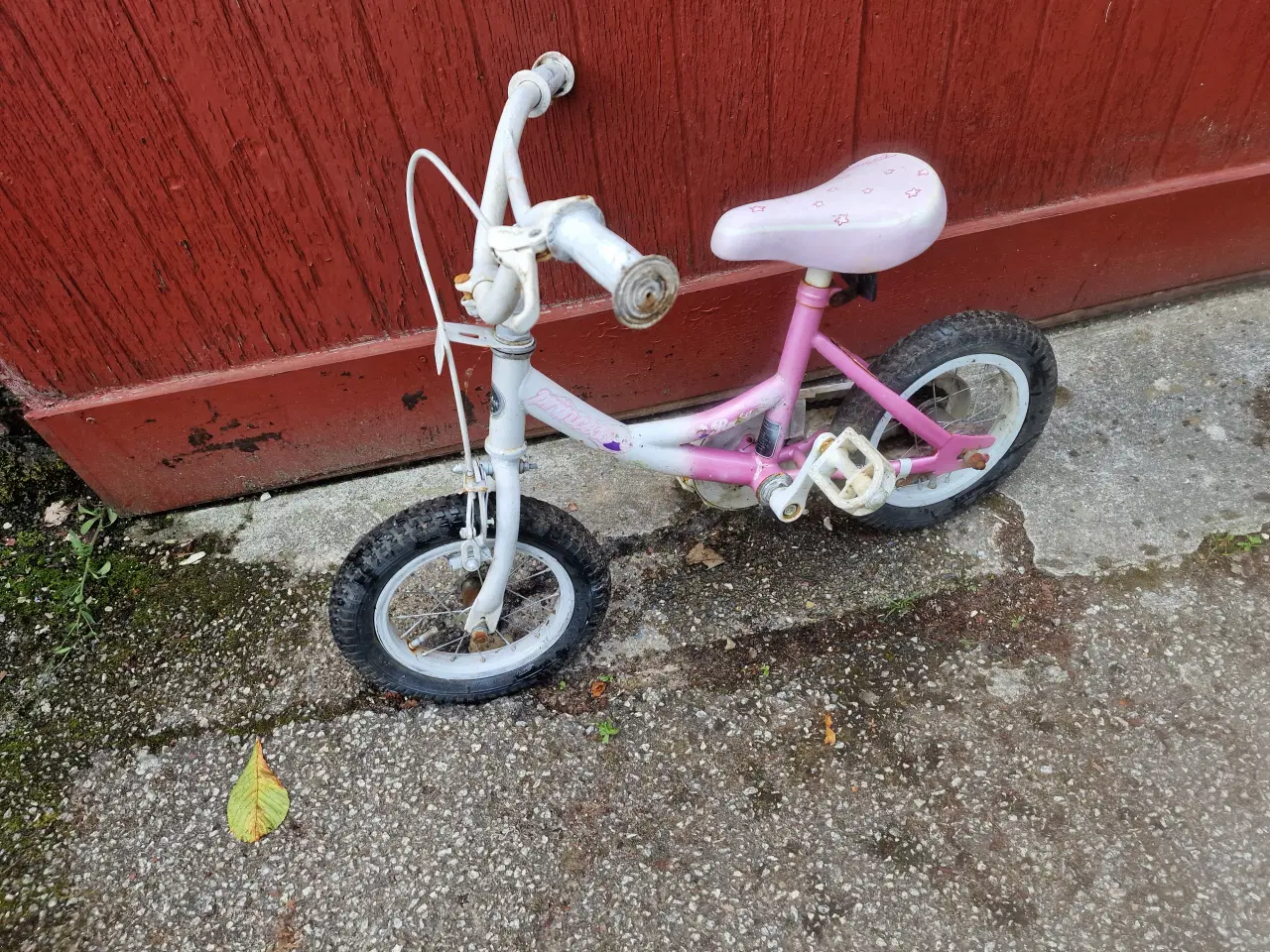 Billede 1 - Pigecykel ROCKY PRINCESS
