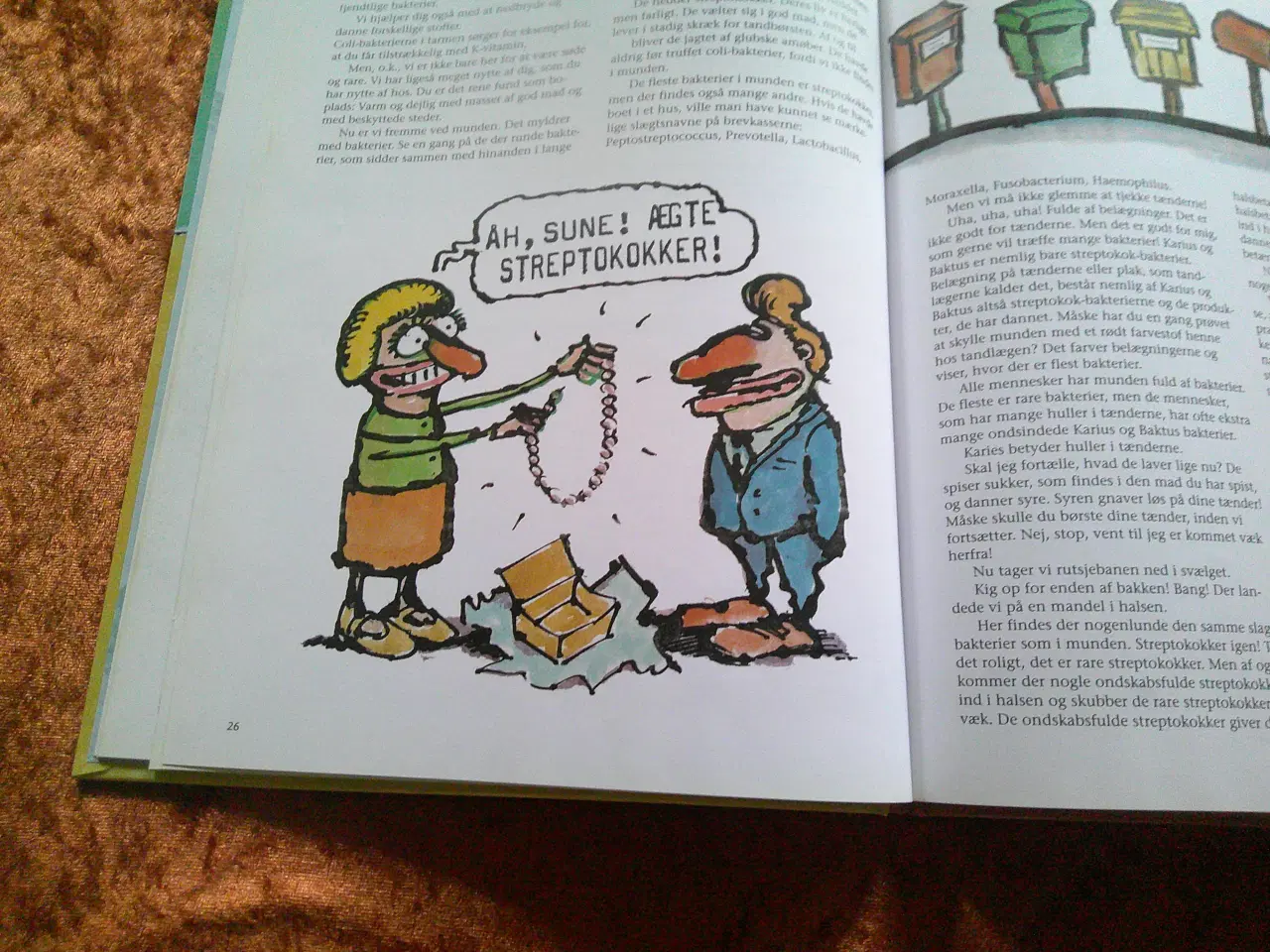 Billede 3 - Bakteriebogen, Karin Bergqvist, Fredrik Lundberg