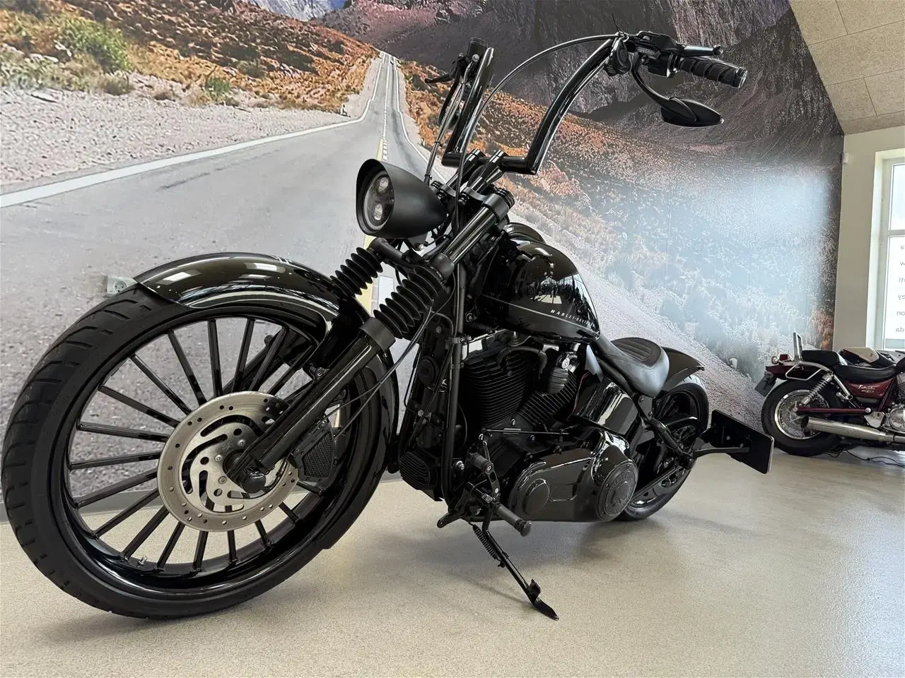 Billede 16 - Harley-Davidson FXS Blackline 110"