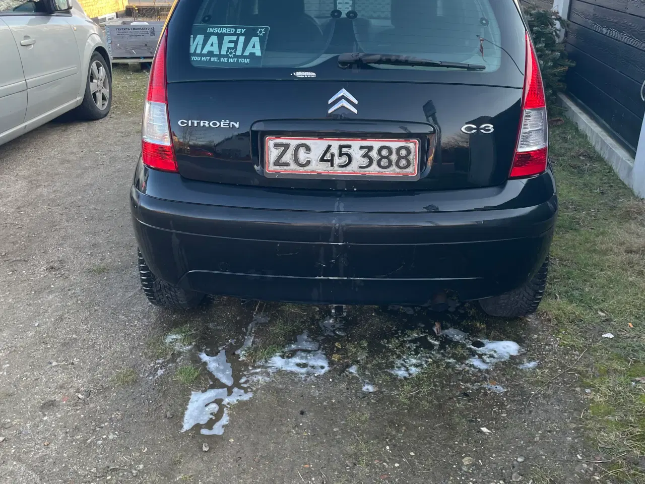 Billede 3 - Stabil og trofast C3