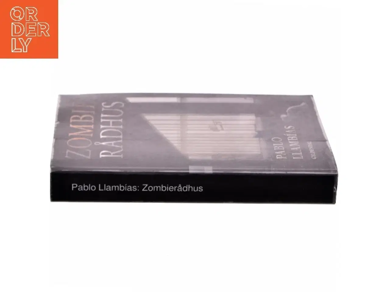 Billede 2 - Zombierådhus : roman af Pablo Llambías (Bog)
