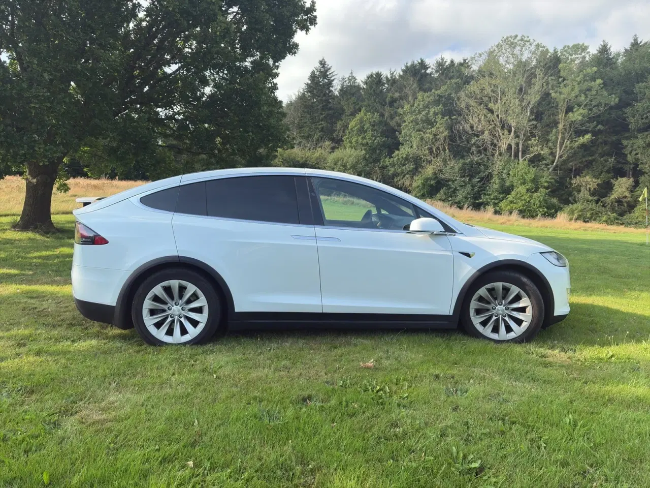 Billede 9 - Tesla Model X  Long Range AWD