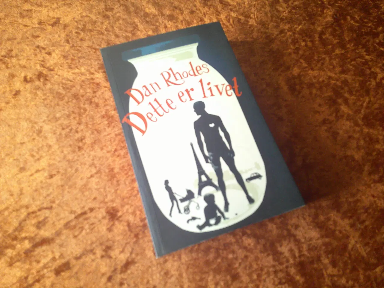 Billede 1 - Dette er livet, Dan Rhodes