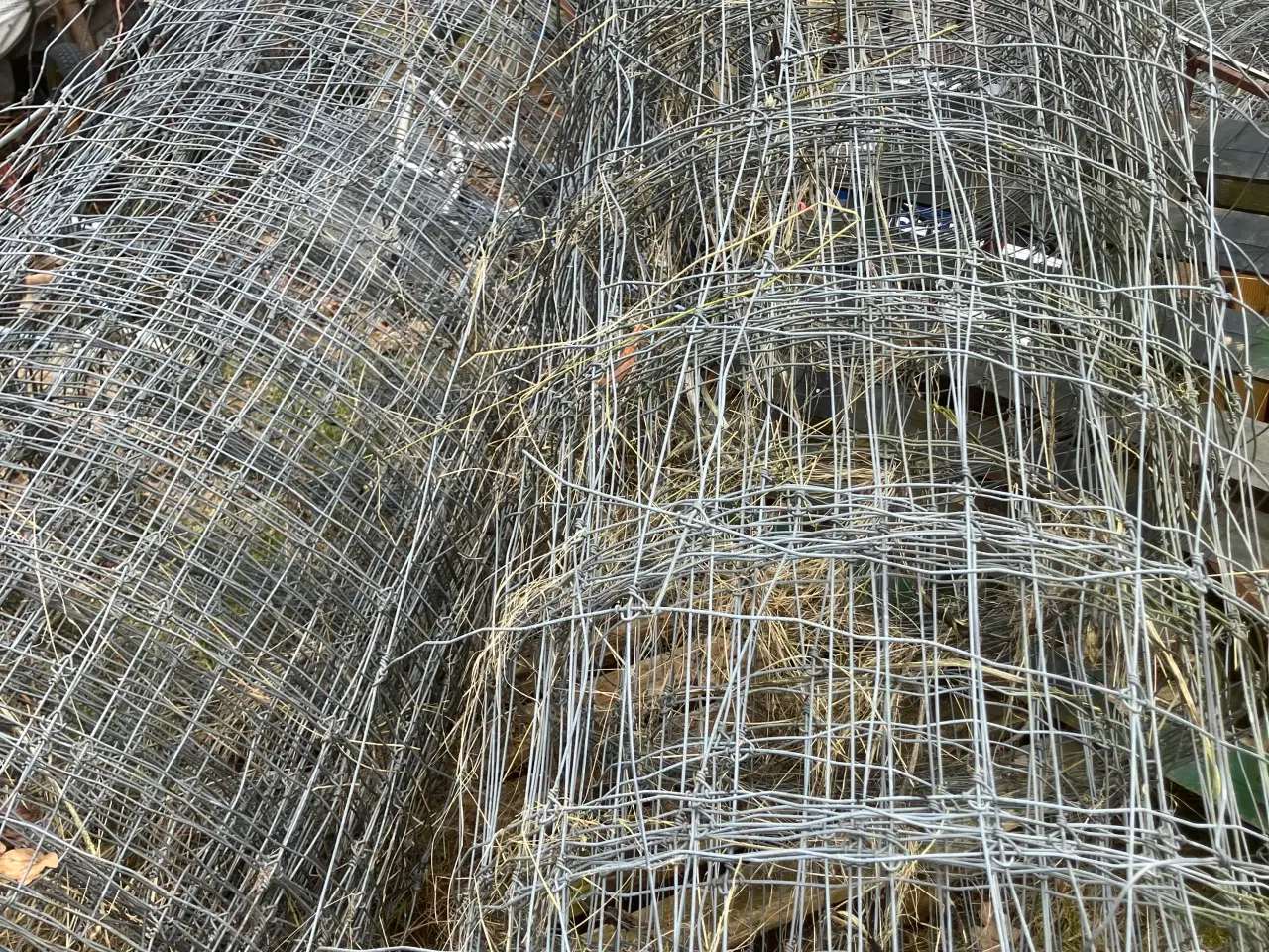 Billede 1 - Dyre hegn