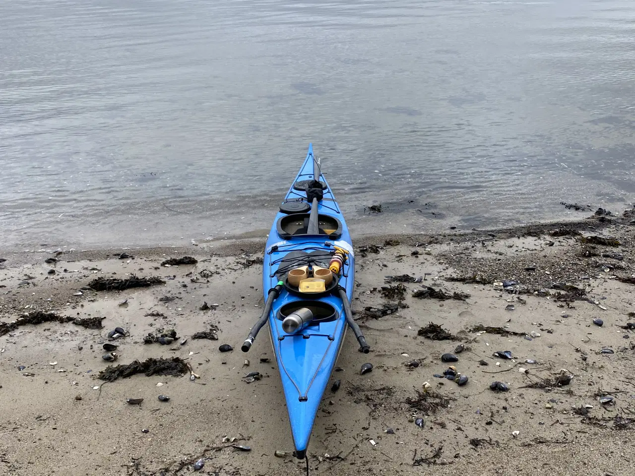 Billede 8 - Nigel Dennis Romany