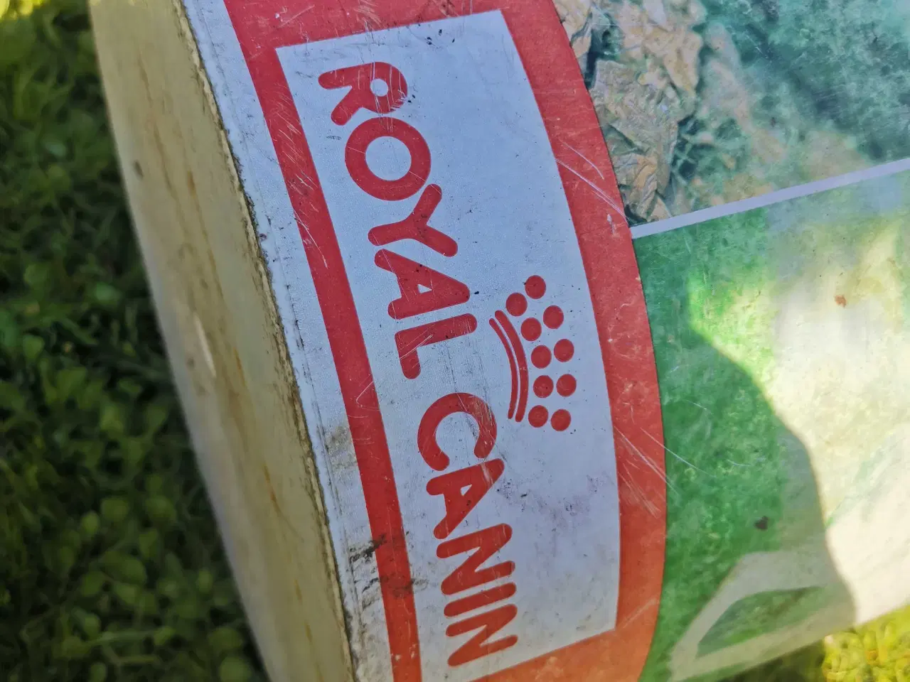 Billede 2 - Royal Canin Stor spand 4 kr