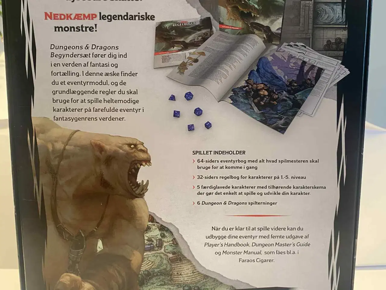 Billede 2 - D&D Begyndersæt