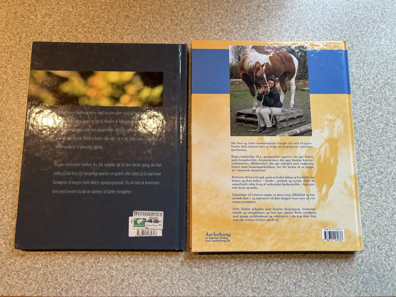 Billede 2 - 2 hestebøger af Gitte V Naldal