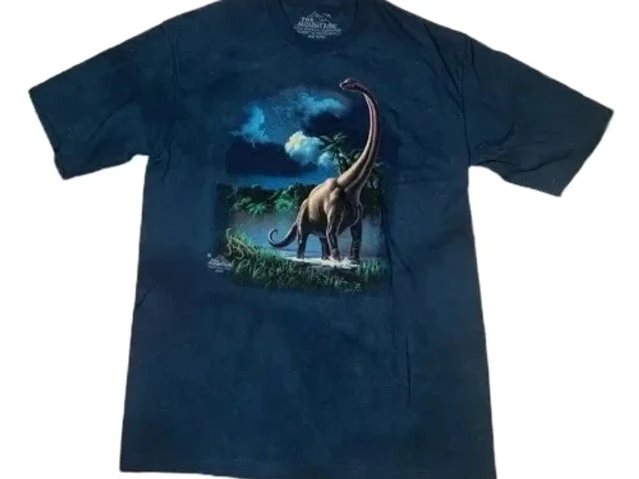 Billede 3 - Store børne/teenager dino T-shirts fra TheMountain