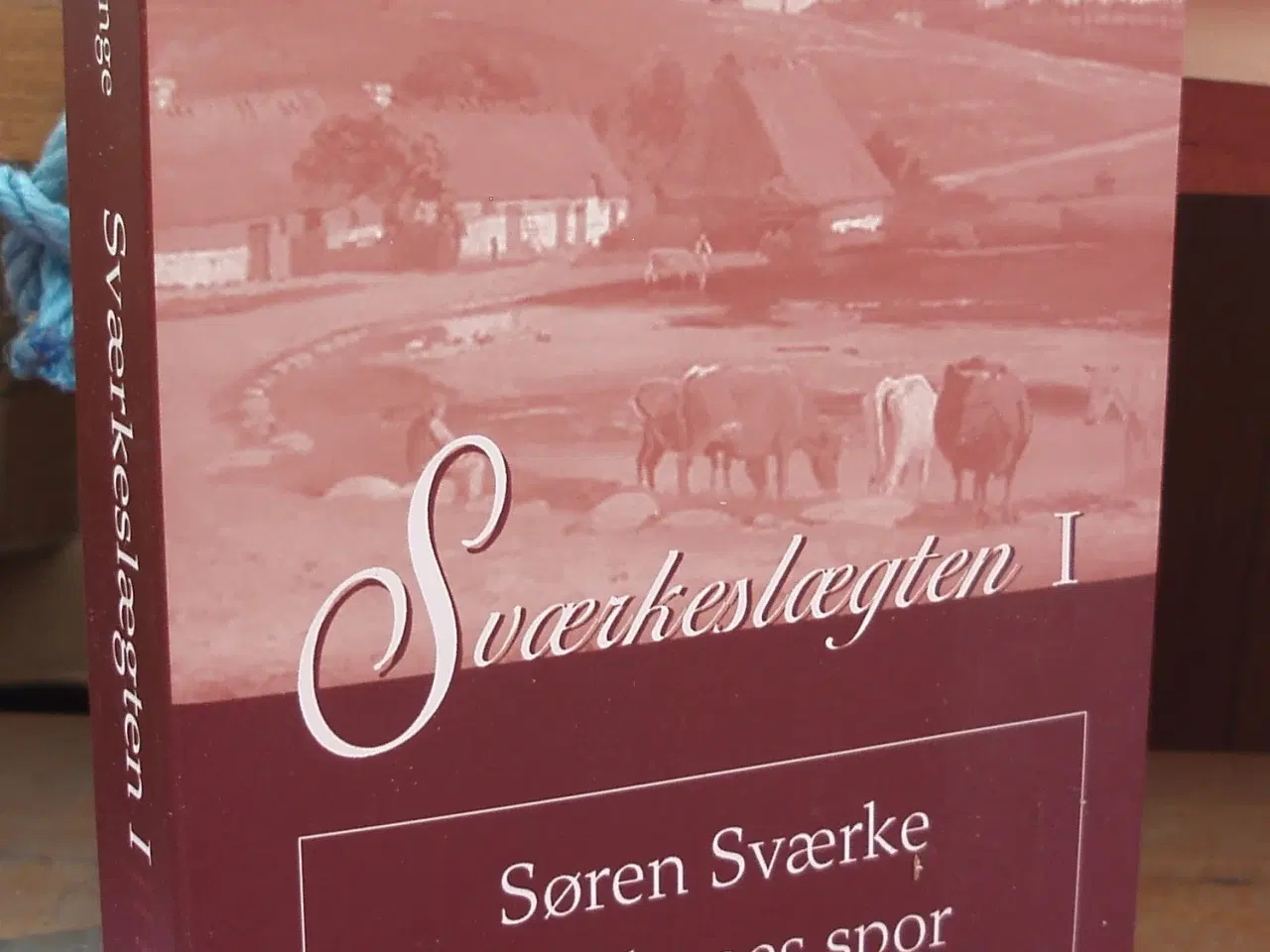 Billede 1 - Sværkeslægten 1 af Helene Strange