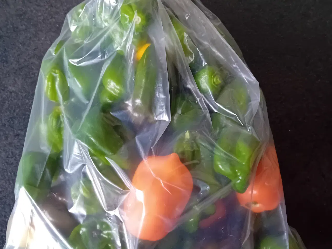 Billede 4 - Habanero chilier 