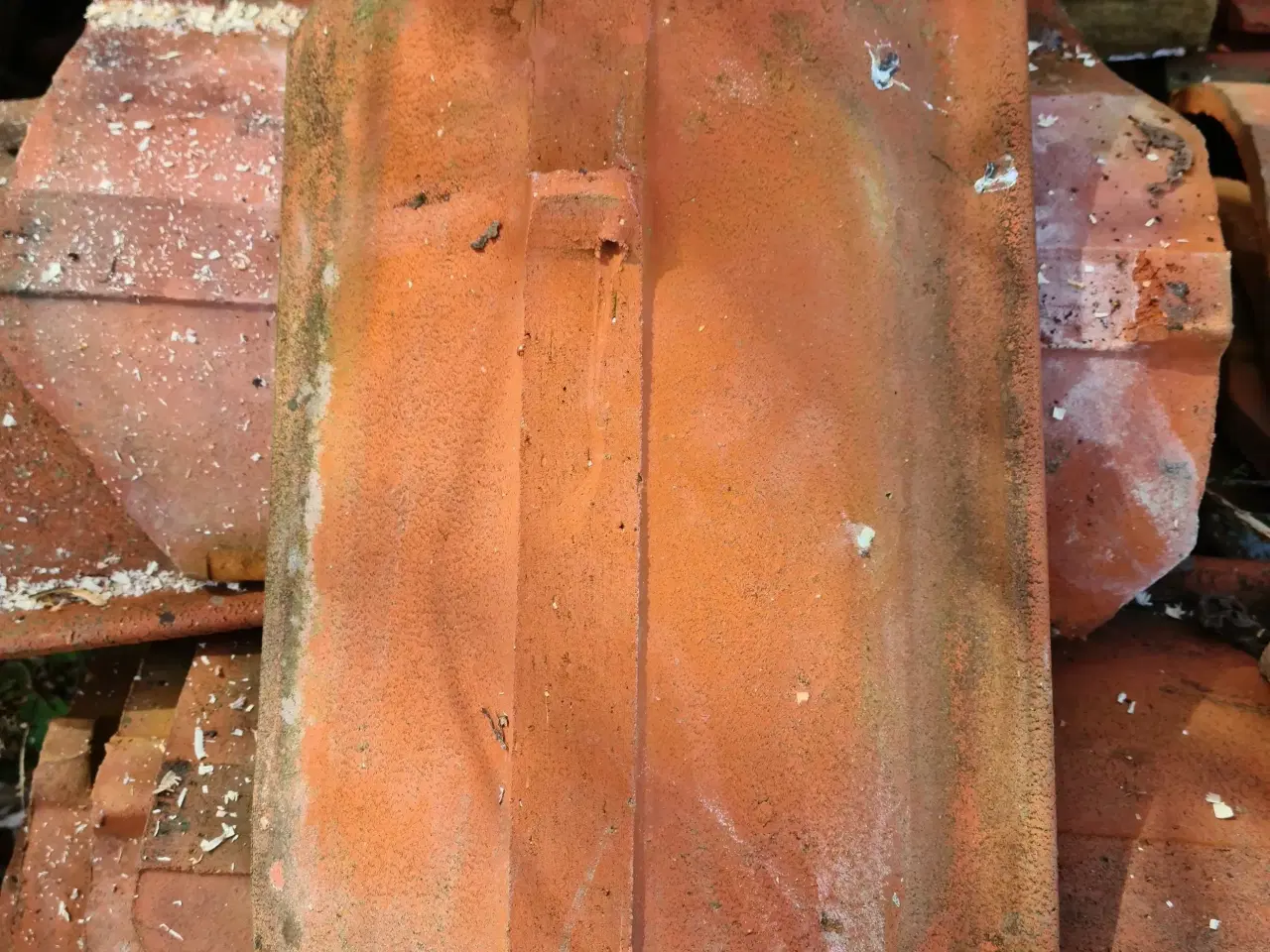 Billede 6 - Ældre tagsten