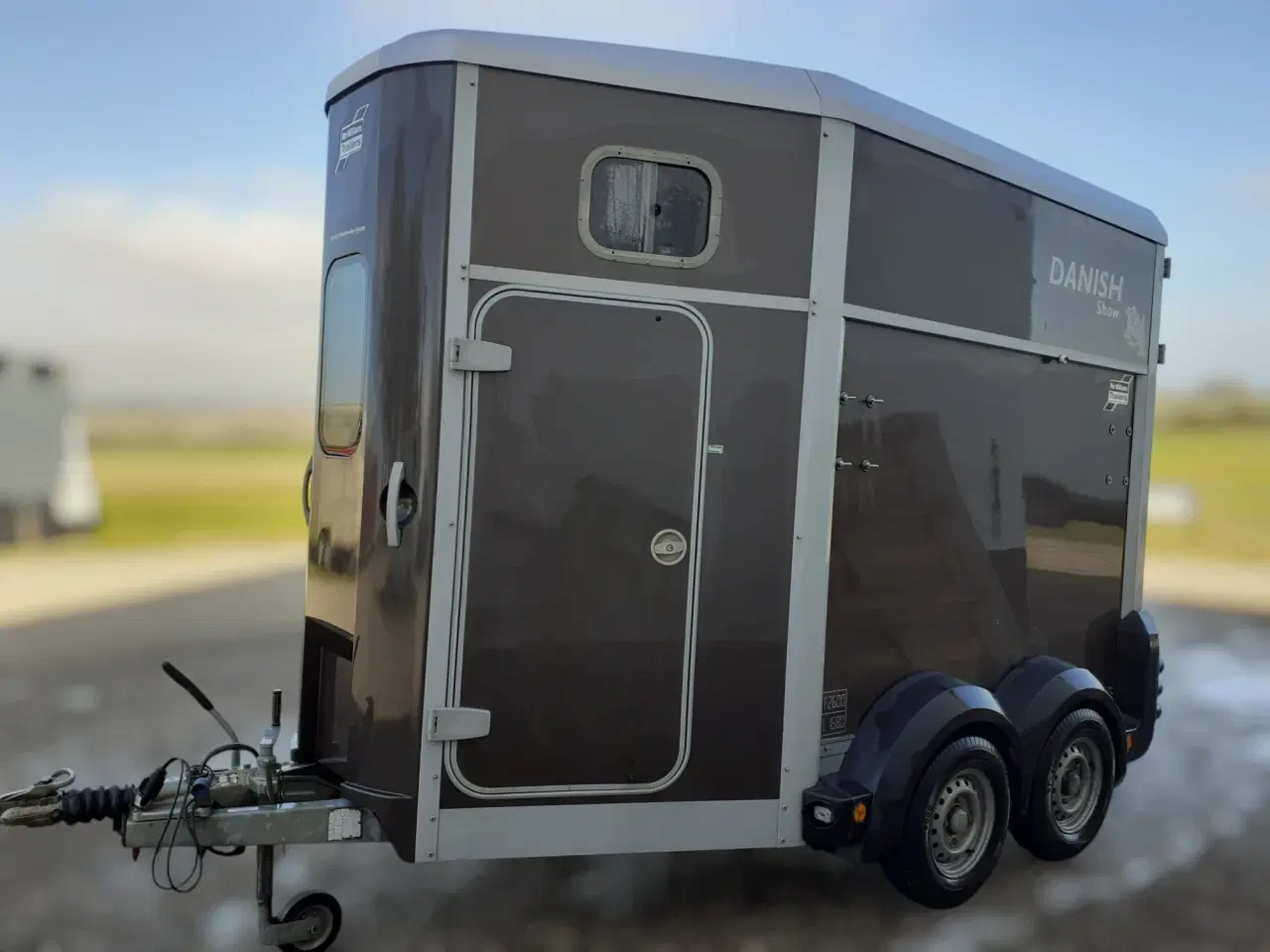 Billede 3 - Ifor Williams HB 506 Hestetrailer år 2010