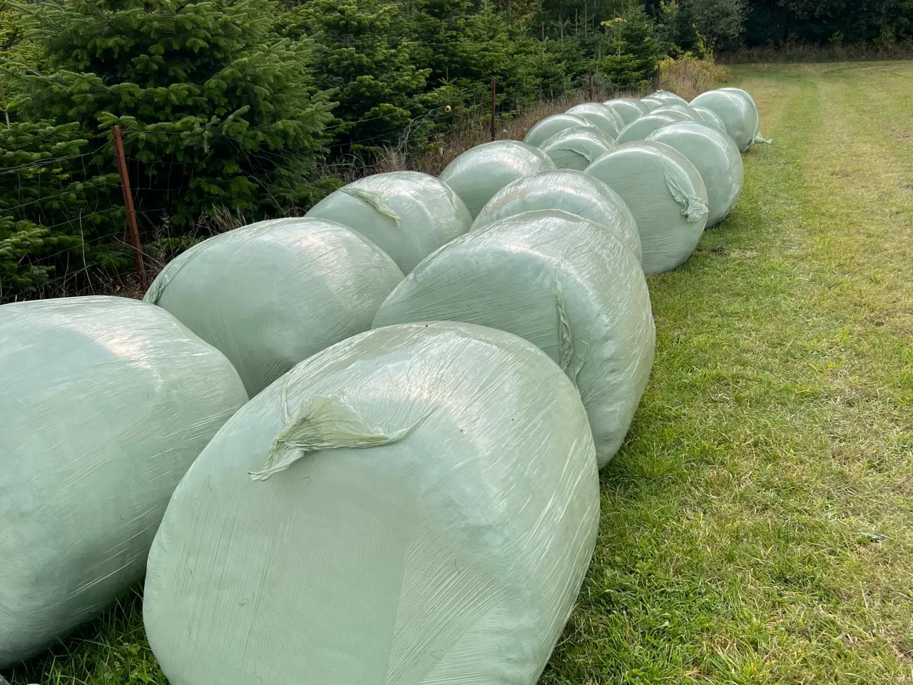 Billede 3 - Wrap i rundballer 
