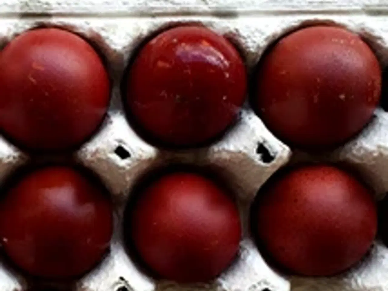 Billede 2 - Maran daggamle kyllinger