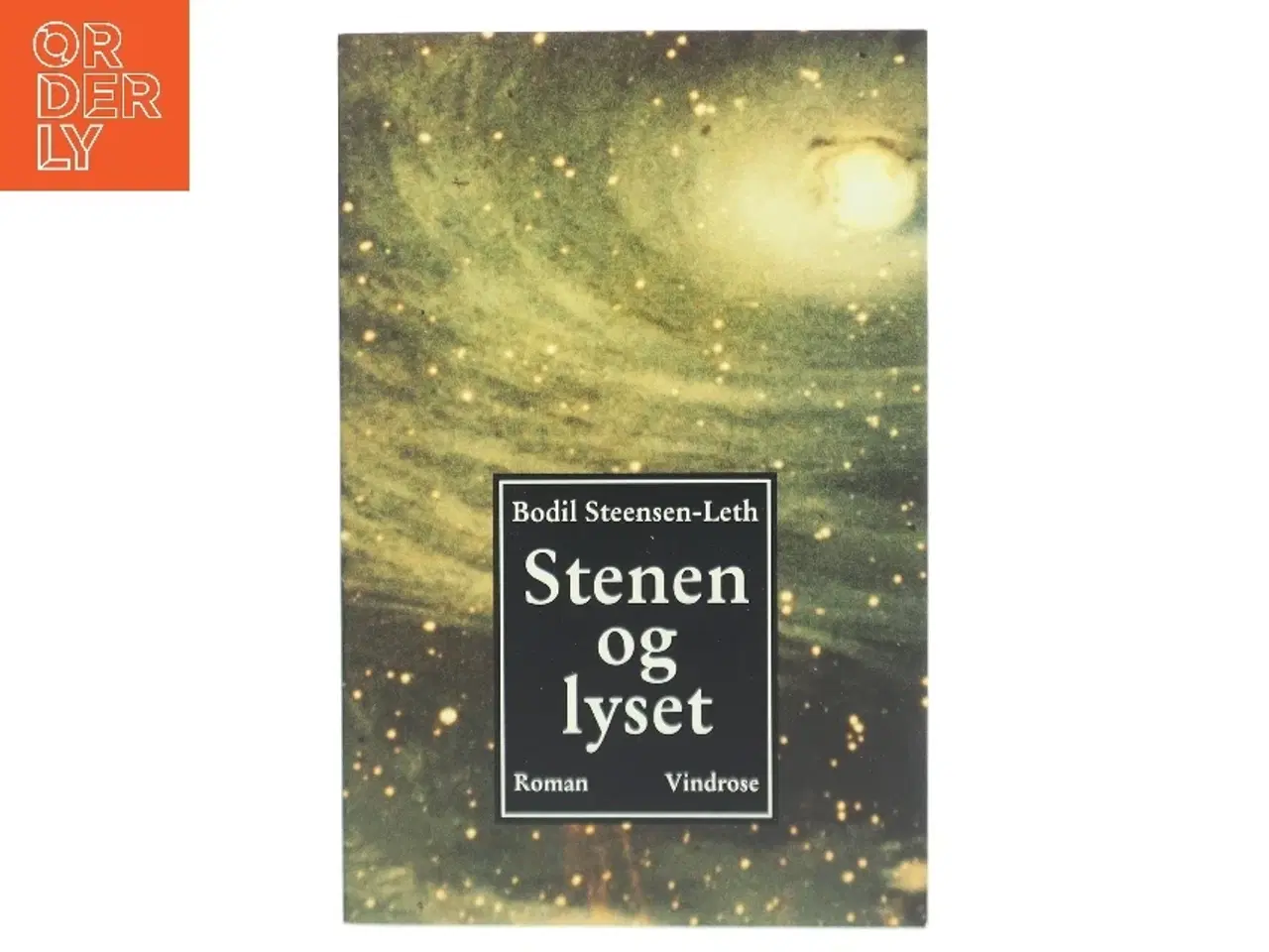 Billede 1 - Stenen og lyset : roman af Bodil Steensen-Leth (Bog)
