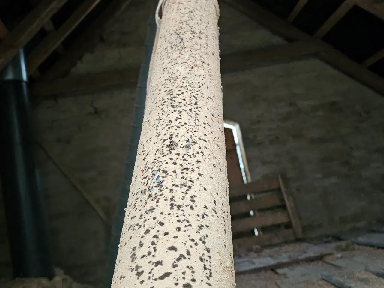 Billede 7 - Kornsnegl brugt til træpiller