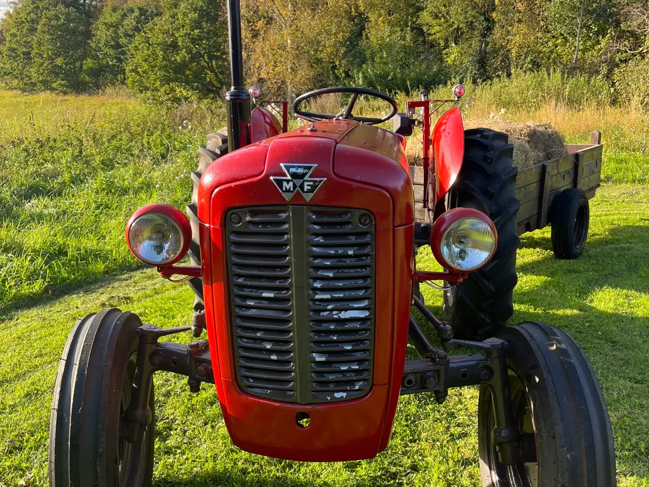Billede 8 - Massey ferguson 35 benzin