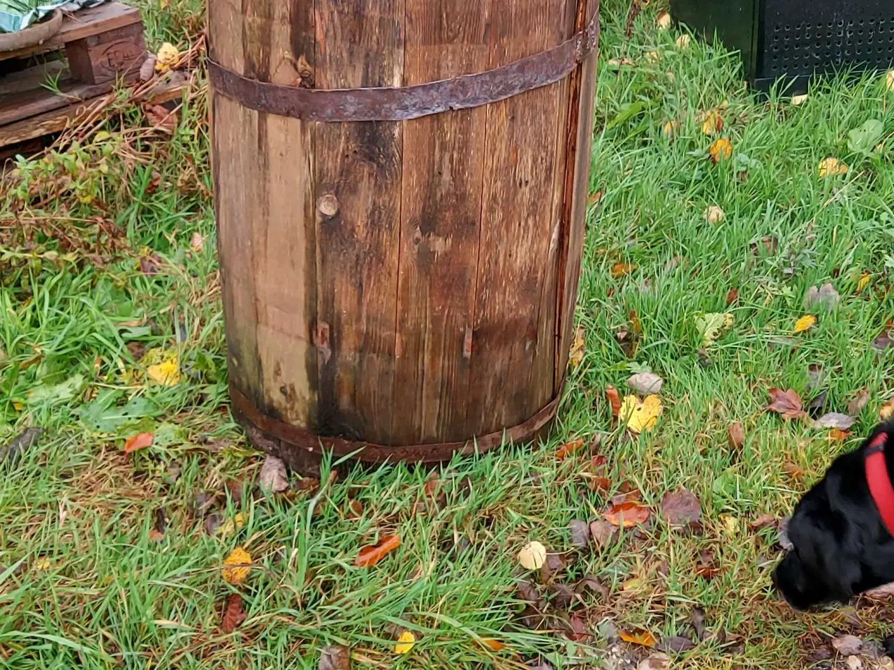 Billede 5 - Træ pynt til haven 