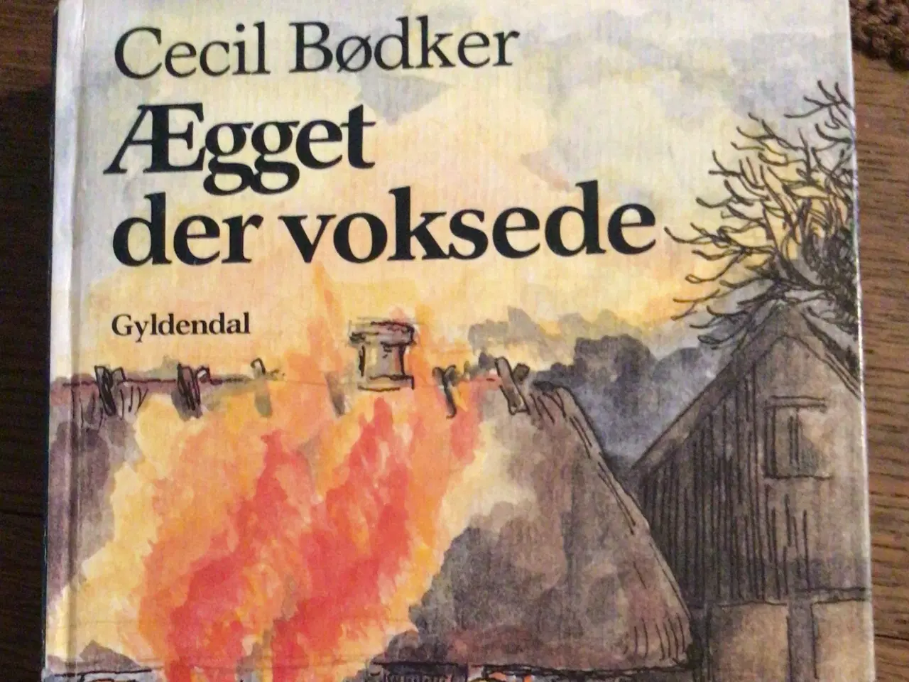 Billede 16 - Cecil Bødker : Silas - se billeder