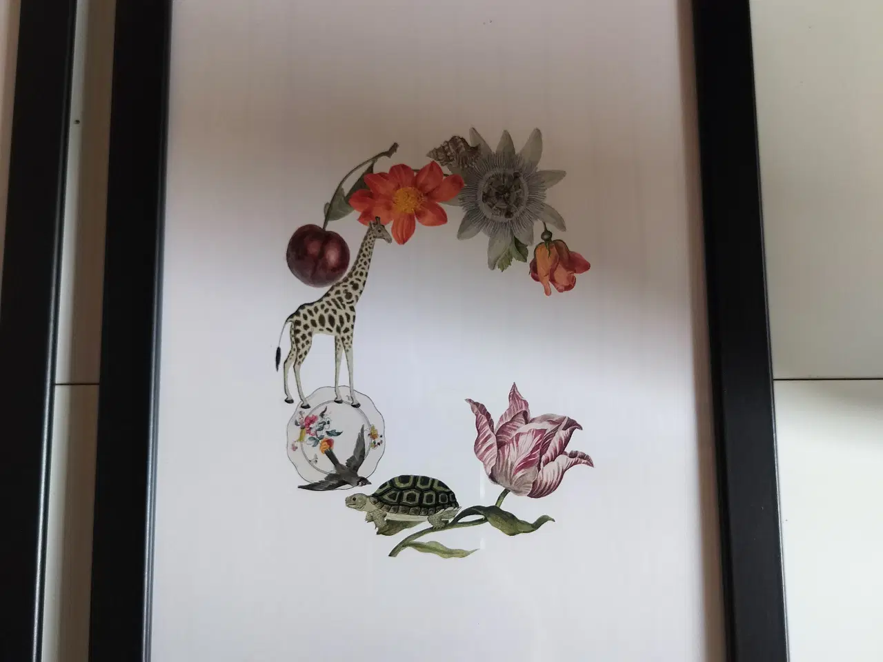 Billede 3 - 6 stk Billeder Rigtig fine billede i sorte rammer