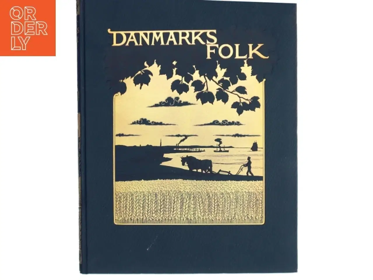 Billede 1 - Danmarks Folk (Bog)