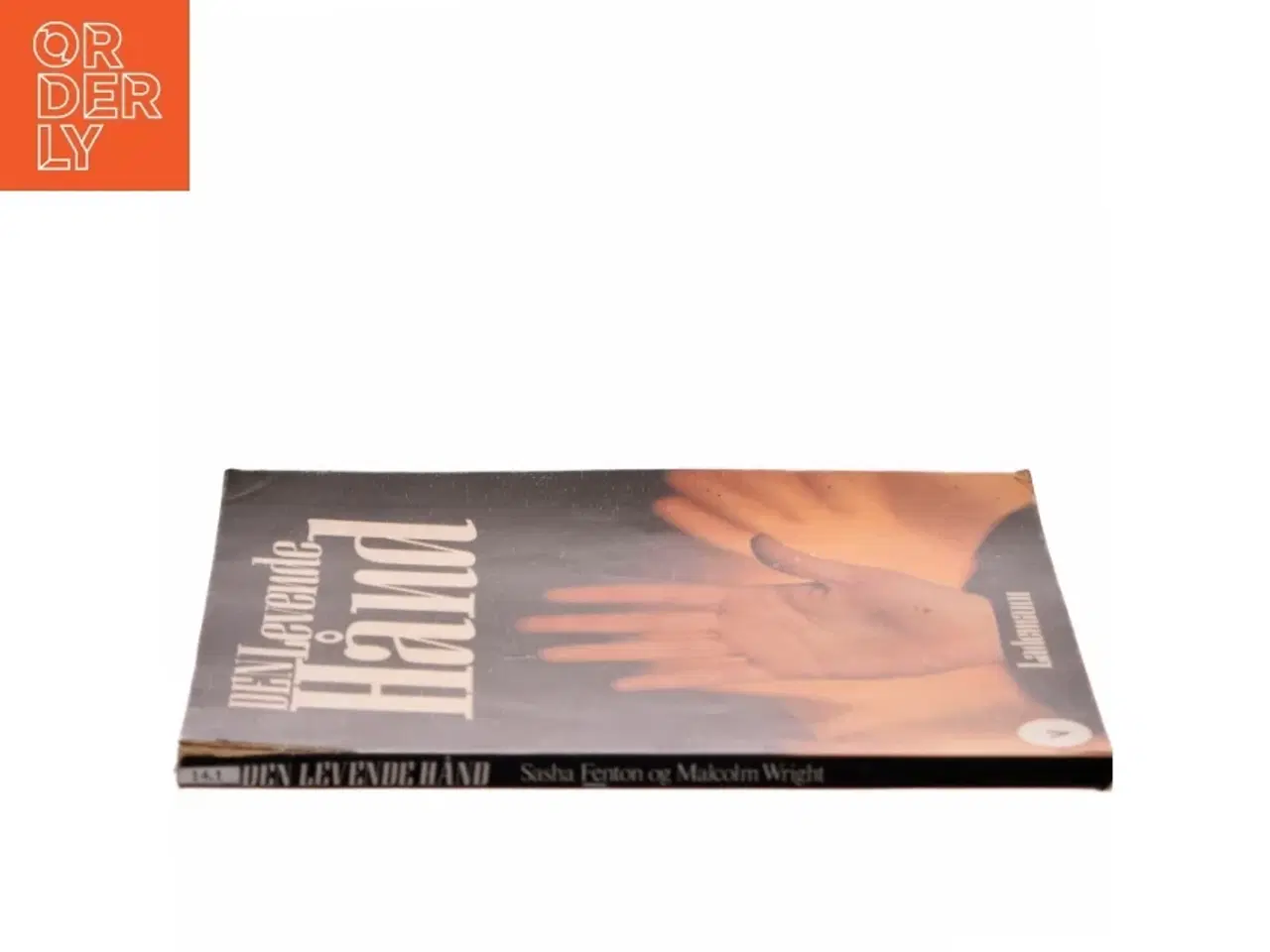 Billede 2 - DEN Levende Hånd af Sasha Fenton (Bog)