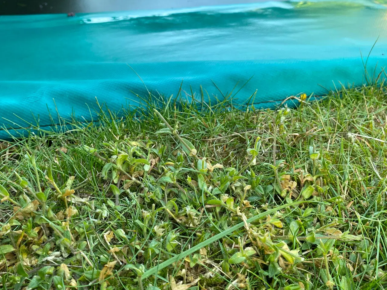 Billede 3 - Berg trampolin ø430